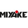 MIYAKE PUMPS