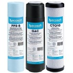 Ecosoft 1-2-3 Cartridge Set, Improved, (2 Carbon Cartridges + Polypropylene)